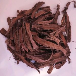 mimosa-hostilis-root