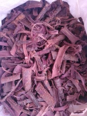 mexican-mimosa-hostilis-root-bark
